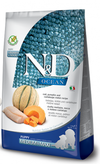 N&D Ocean Morina Balığı Balkabağı ve Kavun Yavru 12 kg Köpek Maması kullananlar yorumlar